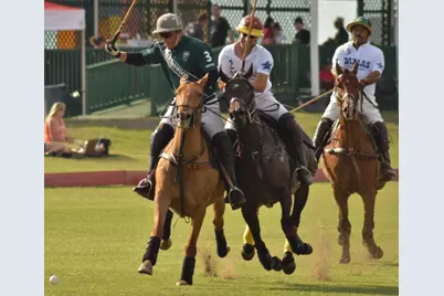 500 Prestonwood Polo Drive, Oak Point, TX 75068 - Photo 34