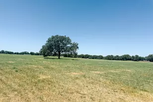 13610 Hwy 183, Rising Star, TX 76471 - Photo 40