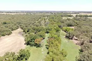 13610 Hwy 183, Rising Star, TX 76471 - Photo 4