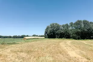 13610 Hwy 183, Rising Star, TX 76471 - Photo 38