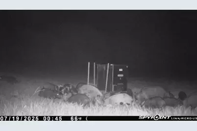 13610 Hwy 183, Rising Star, TX 76471 - Photo 22