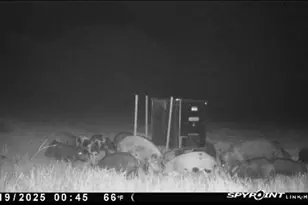 13610 Hwy 183, Rising Star, TX 76471 - Photo 22