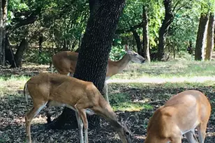 27101 Meadowmore Ct, Whitney, TX 76692 - Photo 30