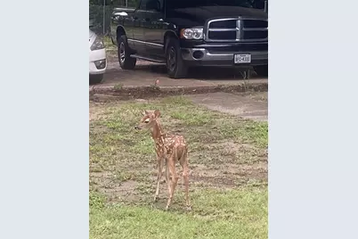 15415 Thunder Road, Terrell, TX 75161 - Photo 18