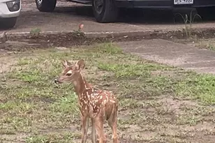 15415 Thunder Rd, Terrell, TX 75161 - Photo 18