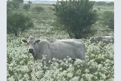 313 Private Road 4512, Decatur, TX 76234 - Photo 2