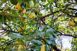 2901 Austin Ave, Brownwood, TX 76801 - Photo 22