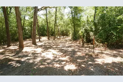 Tbd Garner Drive, Mabank, TX 75156 - Photo 6