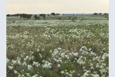 237 Private Road 4512, Decatur, TX 76234 - Photo 4