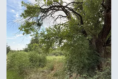 0000 Hanna Street, Wolfe City, TX 75496 - Photo 6