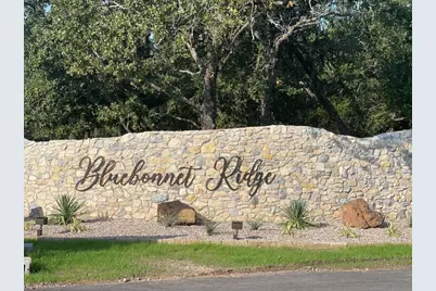 1064 Annabelles Avenue, Weatherford, TX 76087 - Photo 2