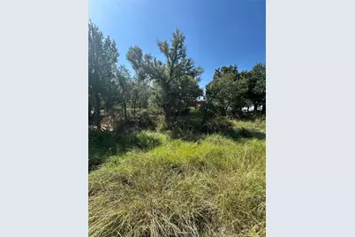 Tbd Sam Houston, Mineral Wells, TX 76067 - Photo 6