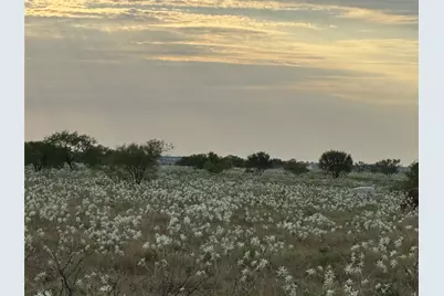 201 Private Road 4512, Decatur, TX 76234 - Photo 4