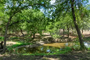 Tbd County Road 534, Whitewright, TX 75491 - Photo 36