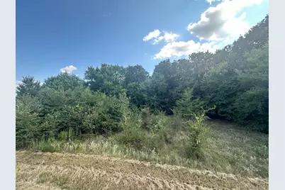 Rs Private Road 6372, Alba, TX 75410 - Photo 4