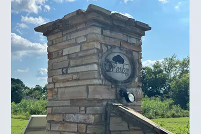 Rs Private Road 6372, Alba, TX 75410 - Photo 2