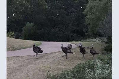 24042 Stonewood Drive, Whitney, TX 76692 - Photo 18