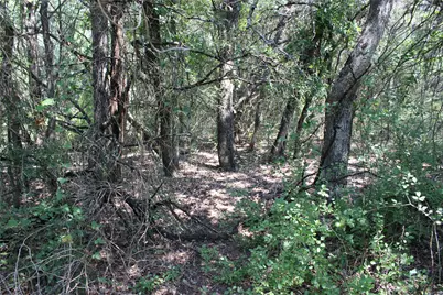 24042 Stonewood Drive, Whitney, TX 76692 - Photo 4