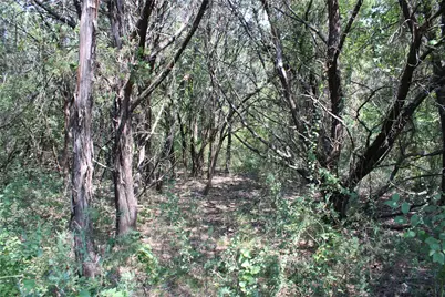 24043 Stonewood Drive, Whitney, TX 76692 - Photo 4