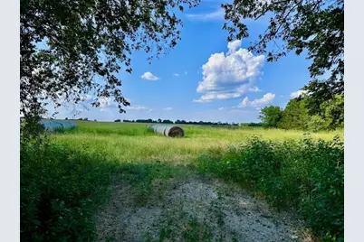 Tbd 19.933Ac Tx-11, Bailey, TX 75413 - Photo 1
