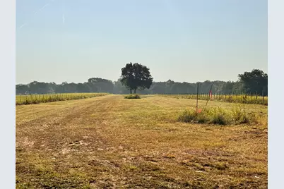 Tbd Fm 513, East Tawakoni, TX 75472 - Photo 4