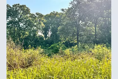 Tbd Fm 513, East Tawakoni, TX 75472 - Photo 8