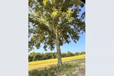 Tbd Fm 513, East Tawakoni, TX 75472 - Photo 10