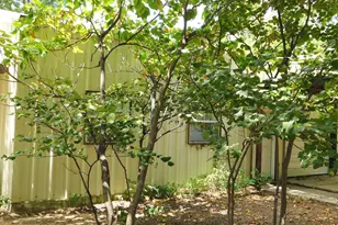 116 S S Brewster St, Rising Star, TX 76471 - Photo 6