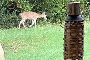 2701 Wills Way Dr, Granbury, TX 76049 - Photo 36