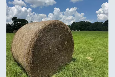 1466 Cr 3214, Jacksonville, TX 75766 - Photo 8