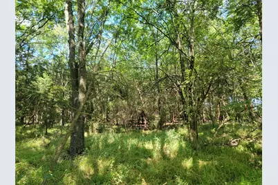 3442 Cr 15100, Blossom, TX 75416 - Photo 2