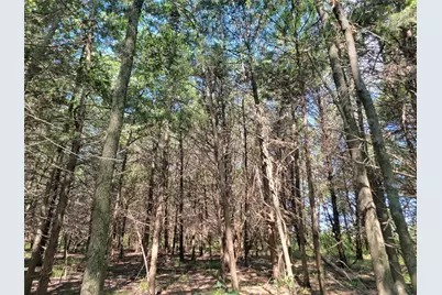 3442 Cr 15100, Blossom, TX 75416 - Photo 4