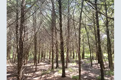 3442 Cr 15100, Blossom, TX 75416 - Photo 32