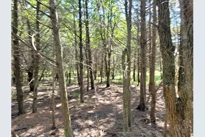 3442 Cr 15100, Blossom, TX 75416 - Photo 26