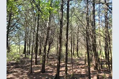 3442 Cr 15100, Blossom, TX 75416 - Photo 28