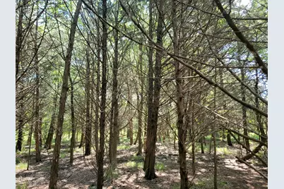 3442 Cr 15100, Blossom, TX 75416 - Photo 40