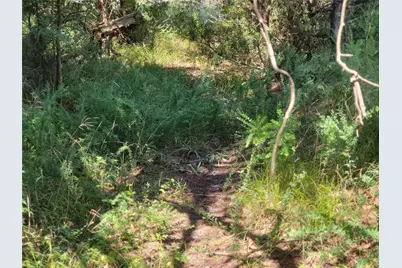 3442 Cr 15100, Blossom, TX 75416 - Photo 36