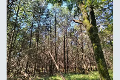 3442 Cr 15100, Blossom, TX 75416 - Photo 6