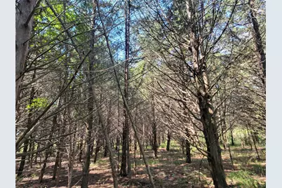 3442 Cr 15100, Blossom, TX 75416 - Photo 8