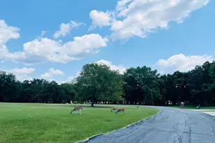 116 Private Rd 5984, Yantis, TX 75497 - Photo 22