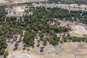 1209 County Road 407A, Nemo, TX 76070 - Photo 16