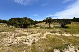 1209 County Road 407A, Nemo, TX 76070 - Photo 6