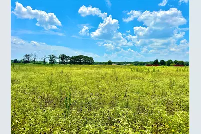 Tbd Tracts 23 & 24 County Rd 3644, Saltillo, TX 75471 - Photo 6