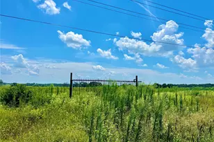 Tbd Tracts 23 & 24 County Rd 3644, Saltillo, TX 75471 - Photo 1