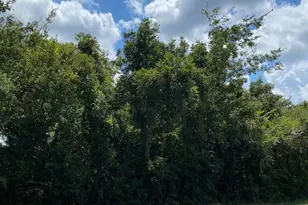 Tbd Fm Rd 920, Poolville, TX 76487 - Photo 1