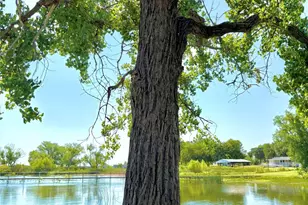 823 Co Rd 237, Eastland, TX 76448 - Photo 16