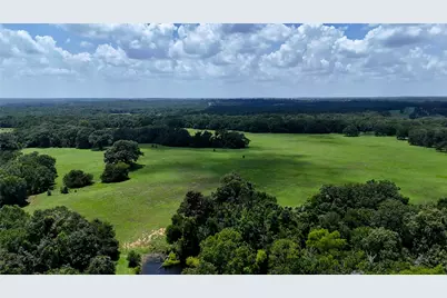 Tbd Cr 4613, Athens, TX 75751 - Photo 10