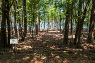 Tbd Pvt Rd 52447, Leesburg, TX 75451 - Photo 1