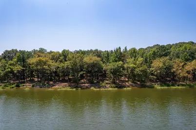 Tbd Pr-52447, Leesburg, TX 75451 - Photo 8