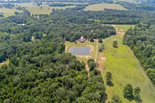 253 Co Rd 2412, Pickton, TX 75471 - Photo 28